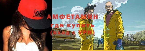 гашик Белокуриха