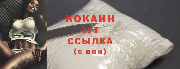 гашик Белокуриха