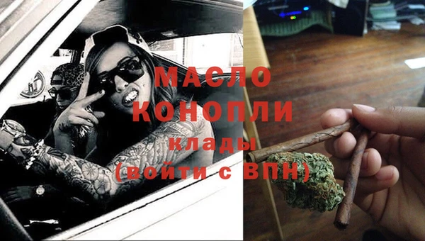ГАЛЛЮЦИНОГЕННЫЕ ГРИБЫ Козловка