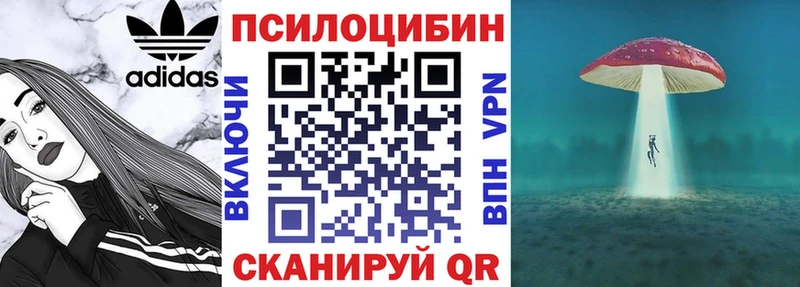 магазин  наркотиков  kraken рабочий сайт  Галлюциногенные грибы прущие грибы  Мезень 